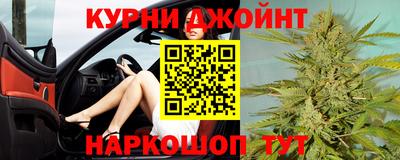 индика Славгород