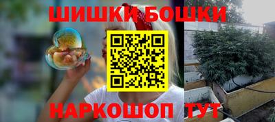 индика Славгород
