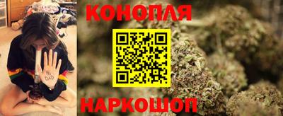 индика Славгород