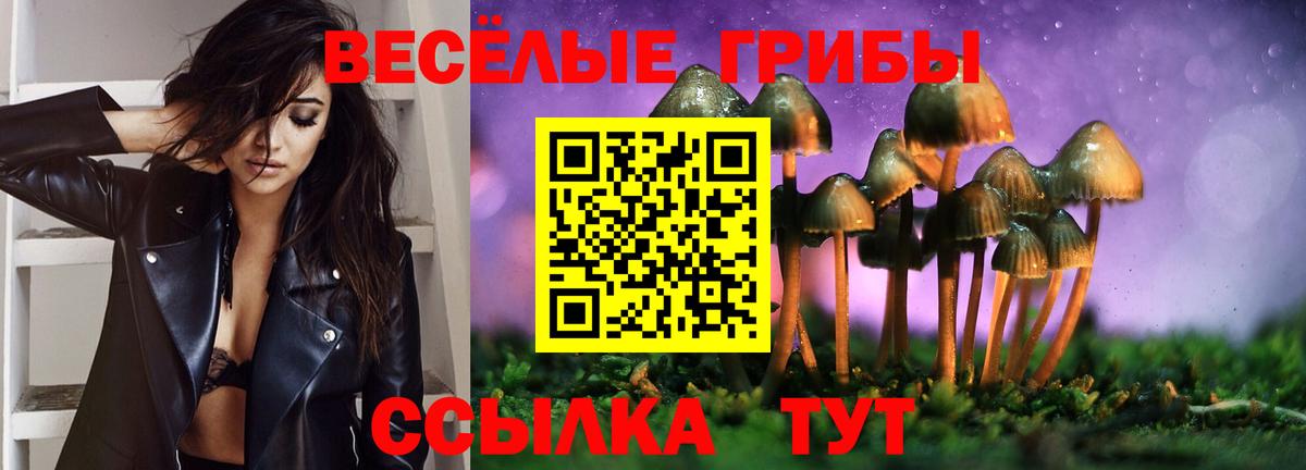 Галлюциногенные грибы мухоморы Павлово