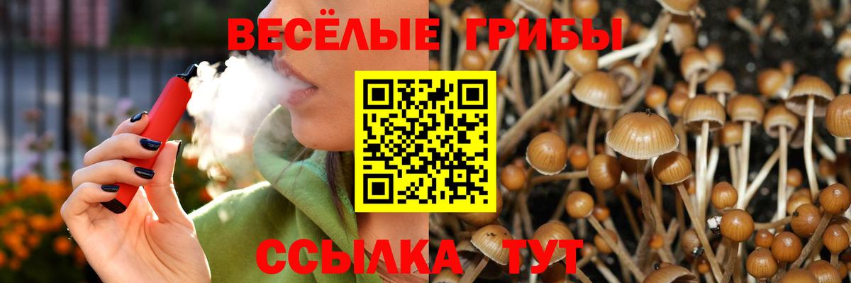 купить закладку  Галлюциногенные грибы Psilocybine cubensis  Вход с VPN  Павлово 
